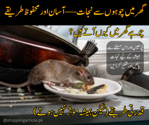 Rodent Control | Mouse Trap Pakistan | Godam Mouse Control | Office Mouse Trap | Pest Control Pakistan | چوہوں کے خلاف مؤثر طریقے | گھر میں صفائی اور چوہے | چوہوں سے نجات
